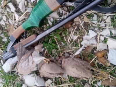 دستگیری شکارچی غیرمجاز پرندگان در « ملکشاهی »