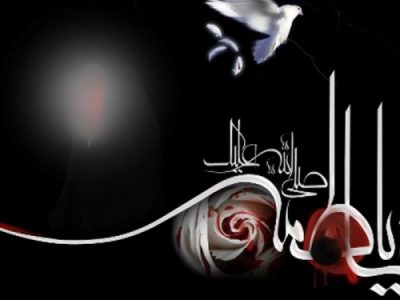 فاطمه عزیز! بی‌تو به سر نمی‌شود(گفت و شنود)