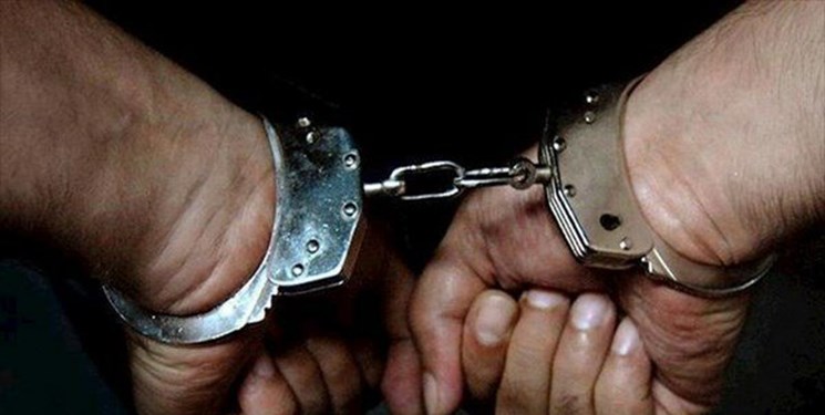 111 سارق در هرمزگان دستگیر شدند