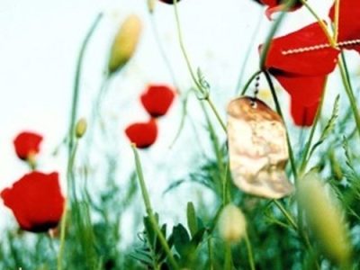 شهید اسدالله رشیدی: علم خود را به دیگران بیاموزید