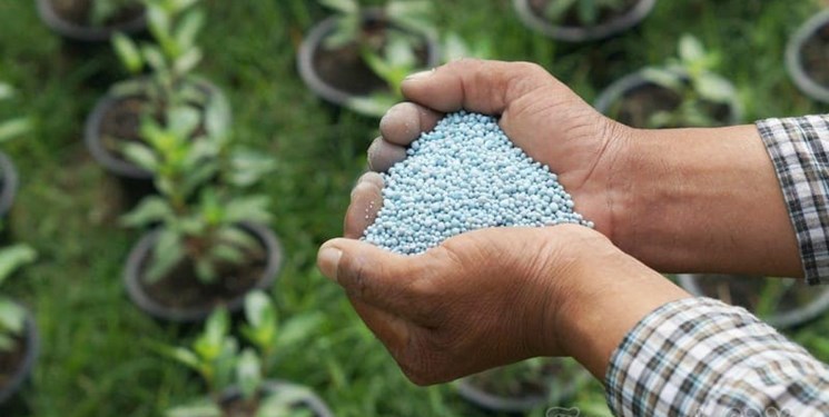 توزیع ۶۶ هزار تن انواع کود بین کشاورزان لرستانی