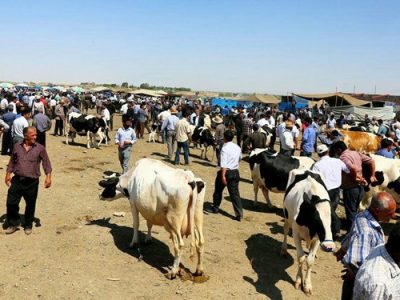 میدان دواب ارومیه تعطیل شد