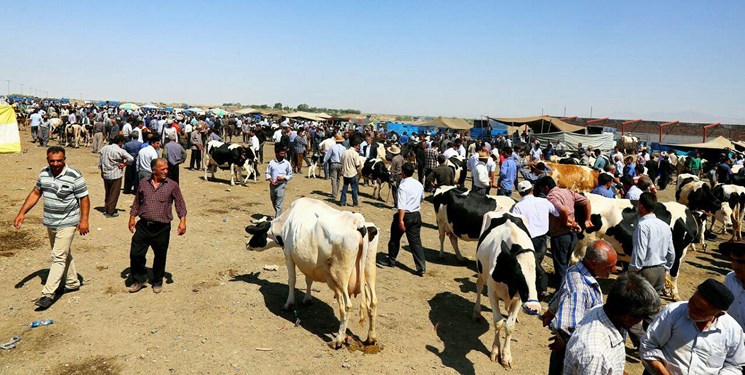میدان دواب ارومیه تعطیل شد