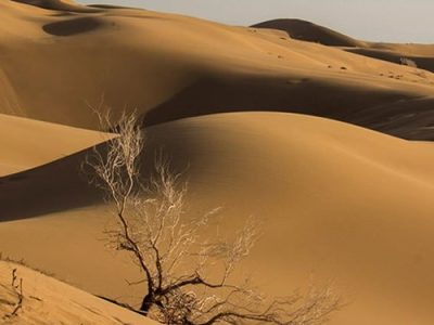 ۲ گردشگر گم‌شده در کویر رضاآباد بیارجمند پیدا شدند