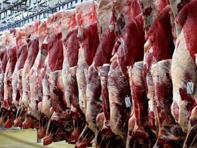 رشد ۷ درصدی تولید گوشت قرمز در استان قزوین