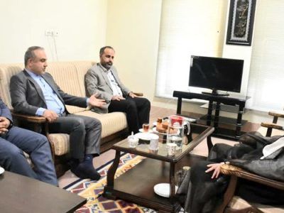 حسینی بوشهری:  افزایش فرزندآوری نیازمند مشوق‌های ویژه است