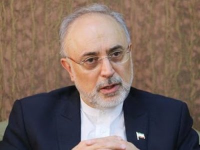 علی اکبر صالحی: بحران غزه قطب نمای وجدان جهانیان شده است