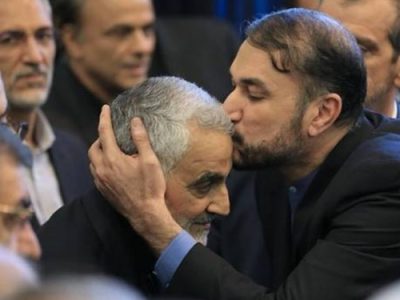 نوربالا| این انجیرها را کی آورده؟