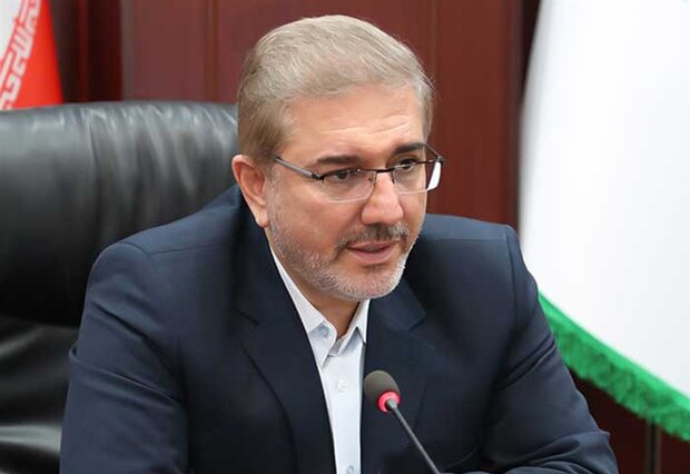 واکنش رییس سازمان برنامه و بودجه به احتمال افزایش قیمت سوخت