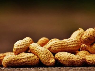 راهکاری نانویی برای مقابله با حساسیت به بادام زمینی