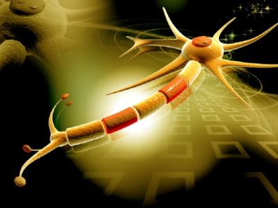 فراخوانی برای توسعه دانش فنی در حوزه علوم اعصاب بالینی