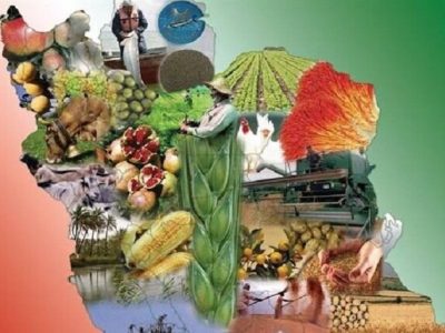 تمدید فراخوان حمایت از طرح‌های توسعه اقتصاد دانش‌بنیان غذا و کشاورزی